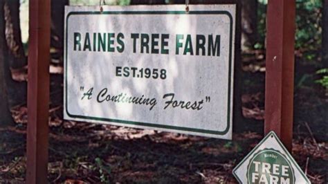 18 MO. . Ralph raines tree farm